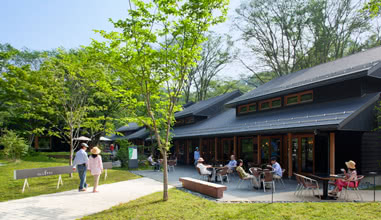 Haruniré Terrace