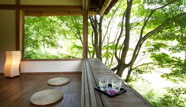 Chaya Tea House