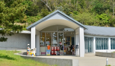 Museum Shop