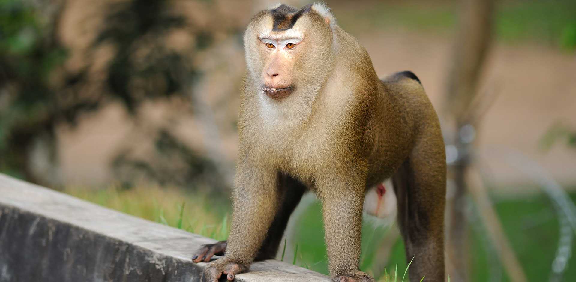 Khao Yai National Park