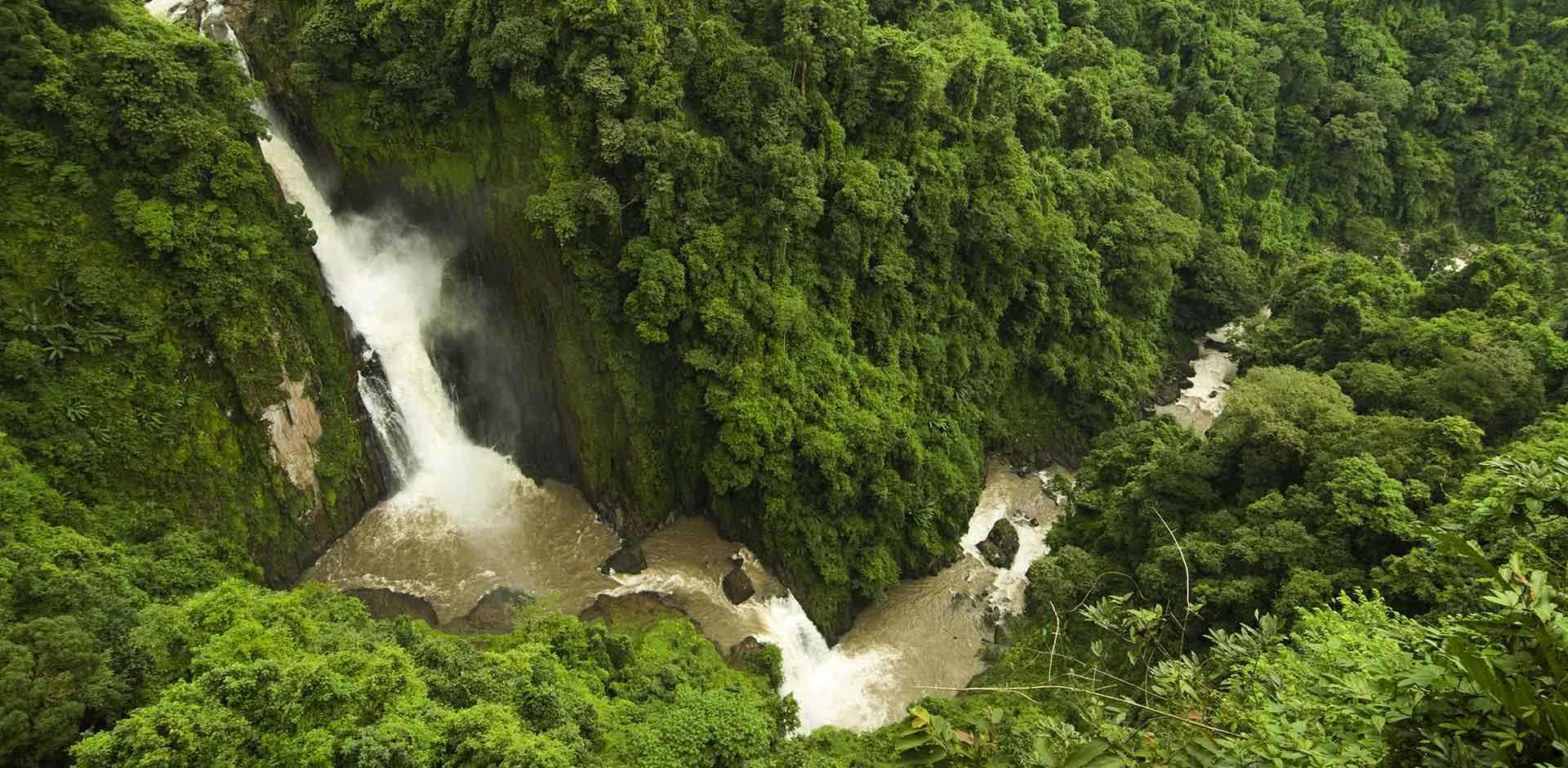 Khao Yai National Park
