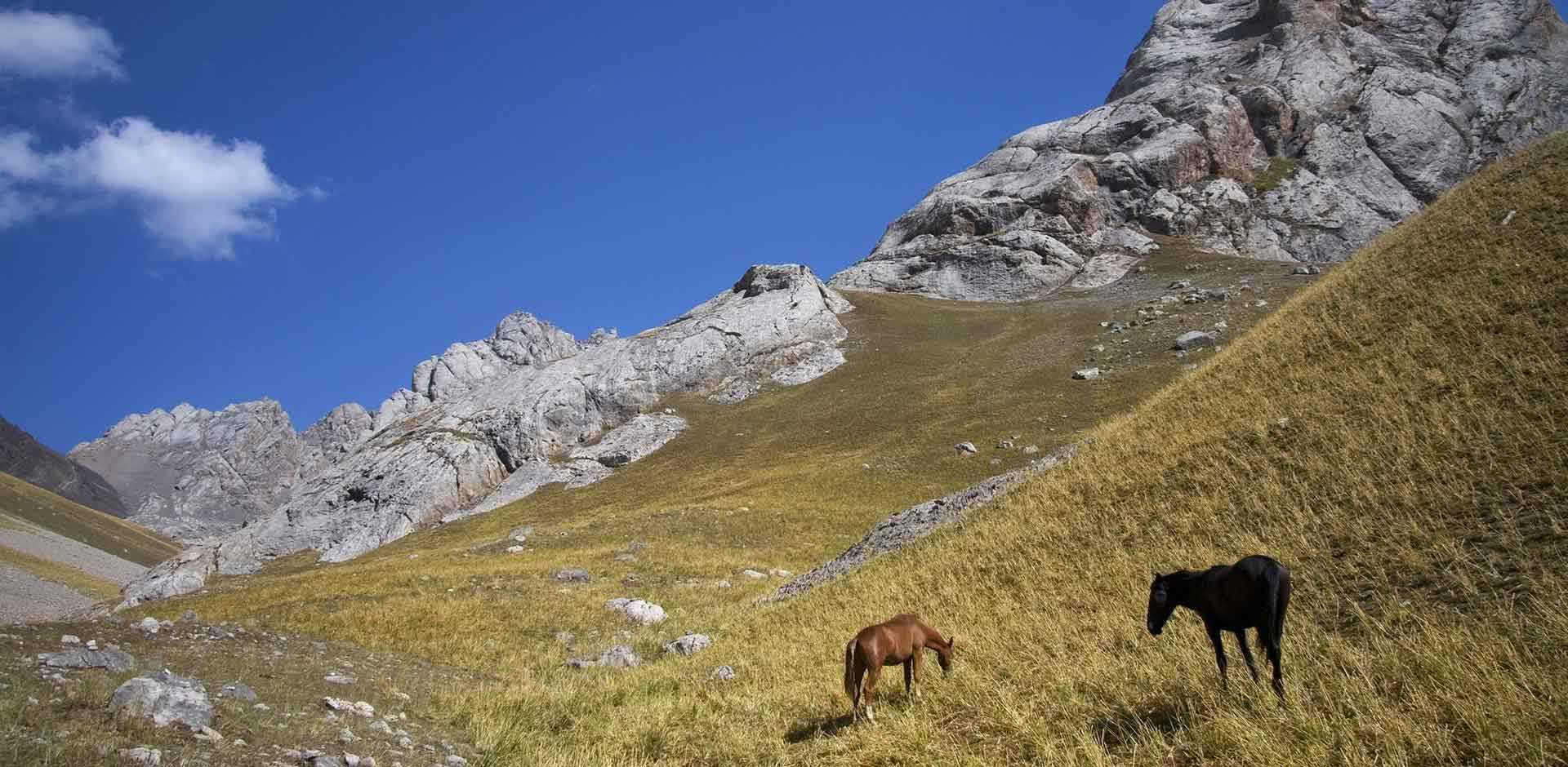 Arslanbob Valley