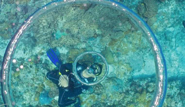 Dive center