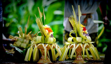 Floral Arrangement 