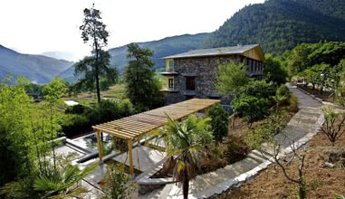 Vegetable Garden