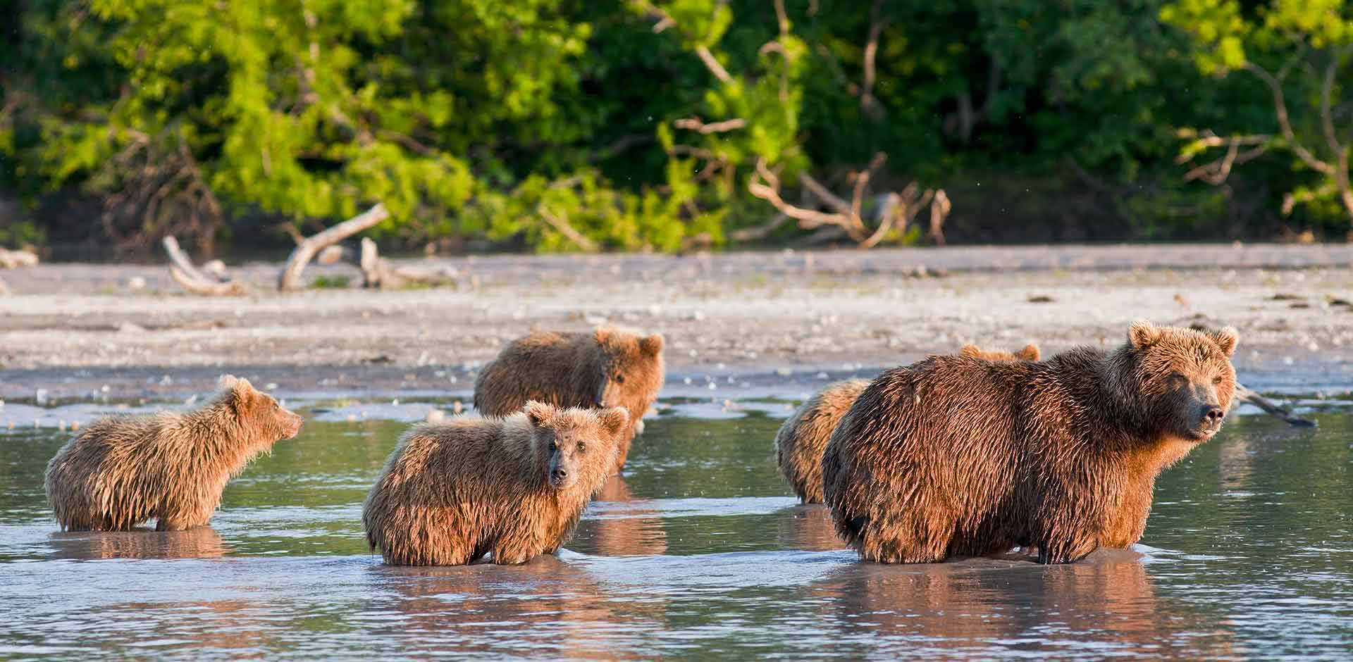 Kamchatka | Siberia Luxury Travel | Remote Lands