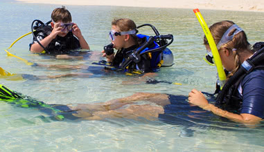 Diving