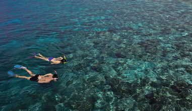 Snorkelling