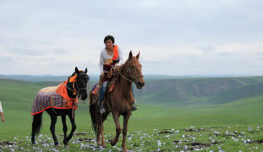 Horseback Riding