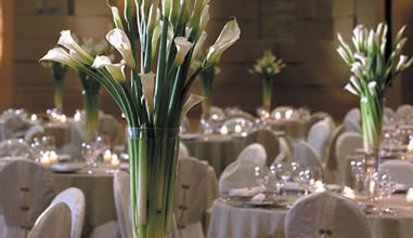 Event and Meeting Spaces