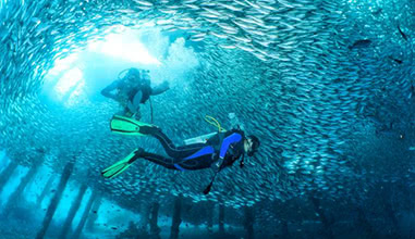 Underwater Excursions