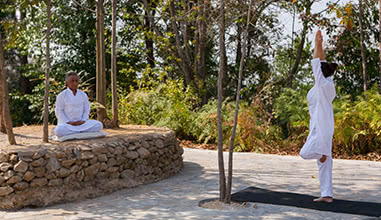 Yoga and Meditation