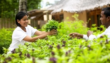 Earth Lab & Organic Farm