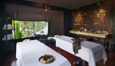 Auriga Wellness