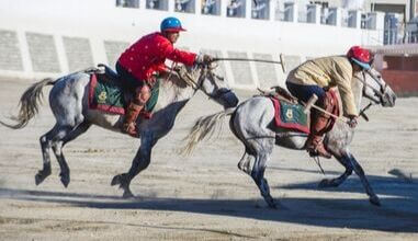 Horse Polo