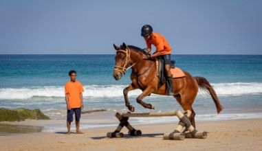 Equestrian Center