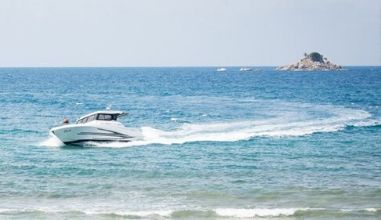 Cruises