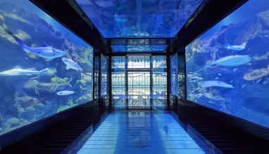 Aquarium