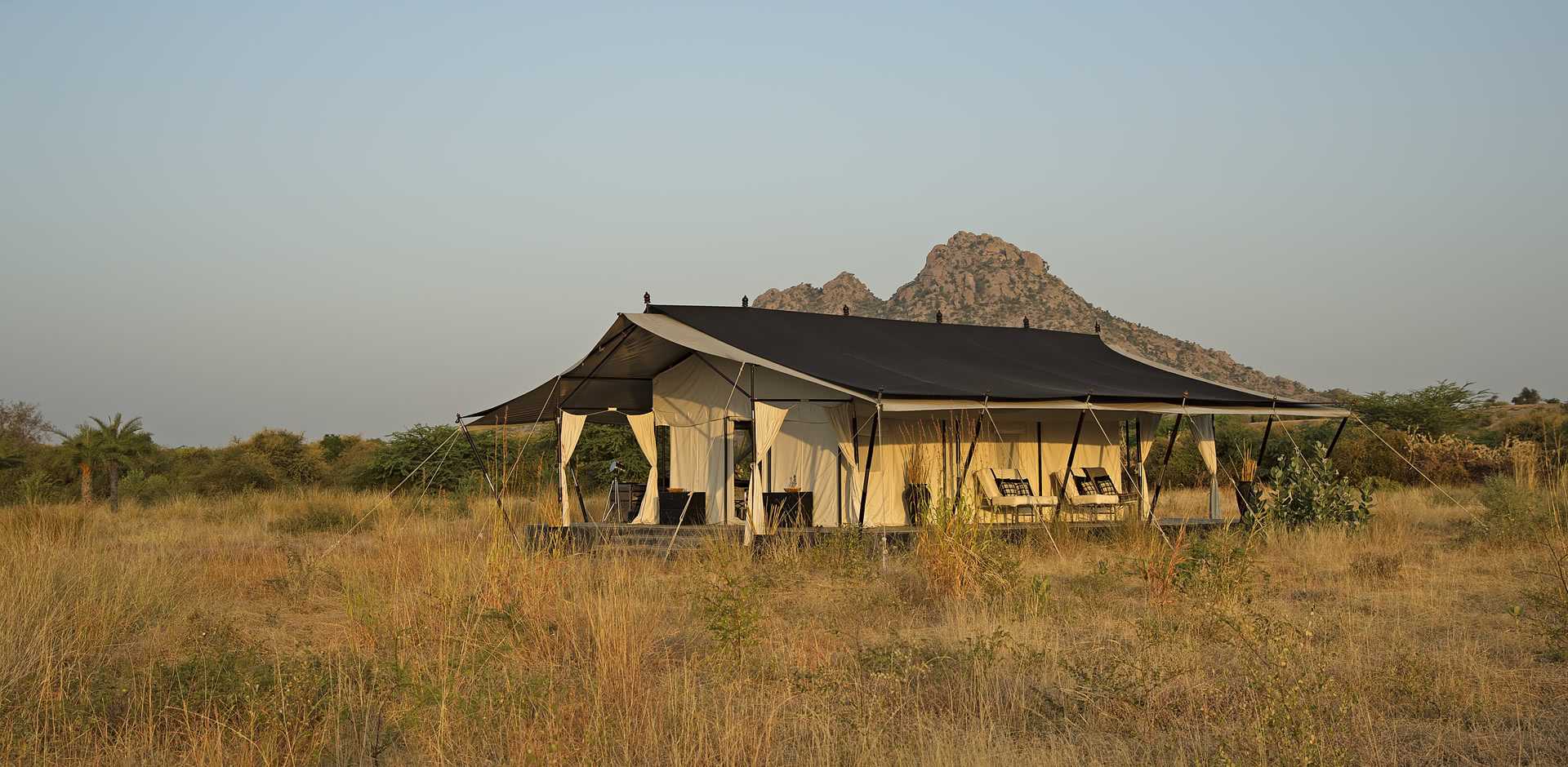 SUJAN JAWAI Leopard Camp