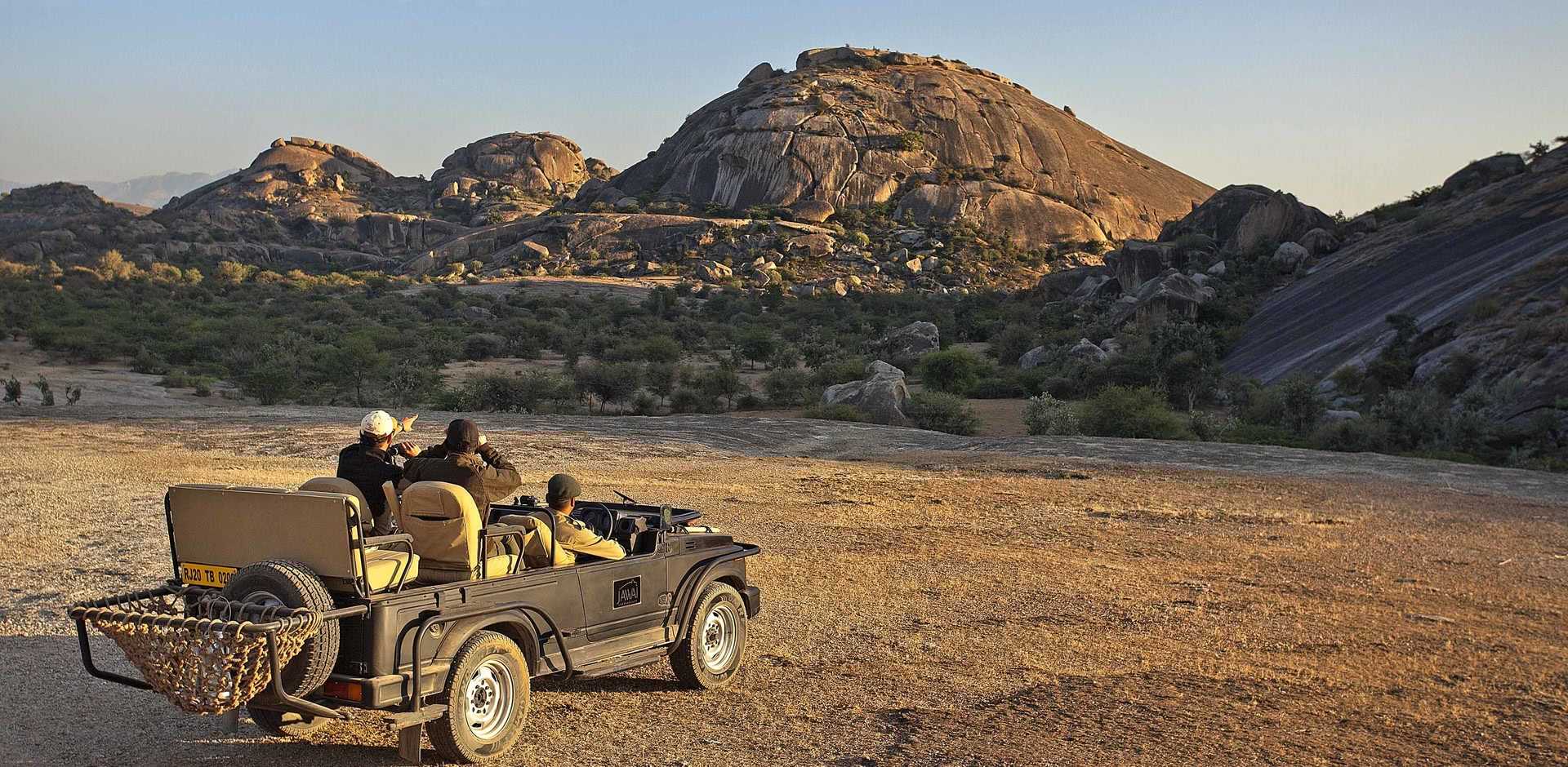 SUJAN JAWAI Leopard Camp