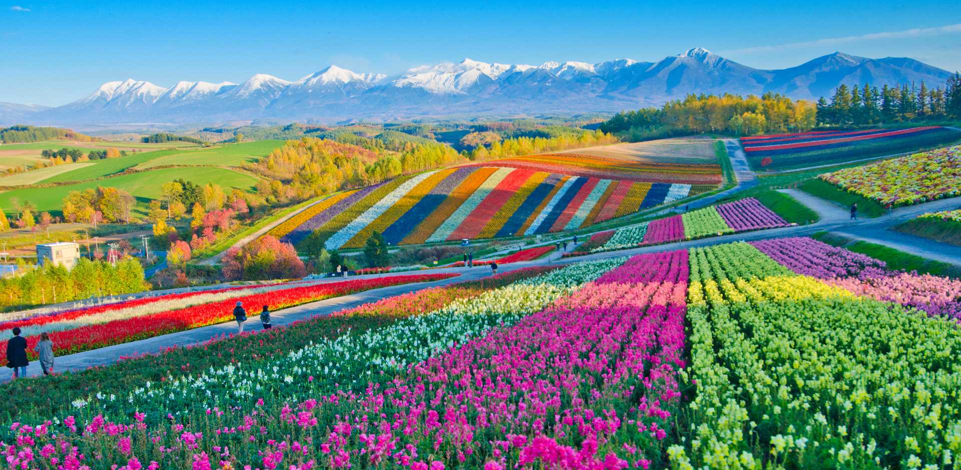 Furano