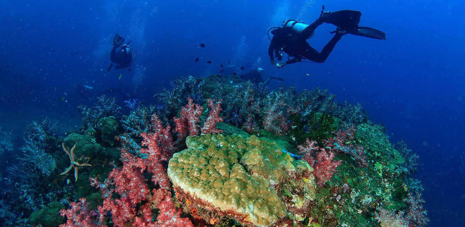Similan Islands