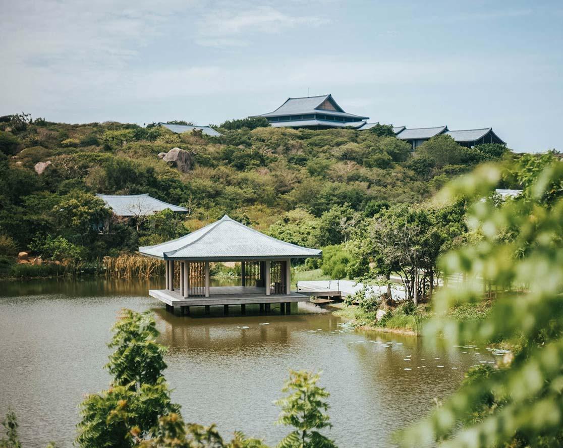 Amanoi-1.jpg