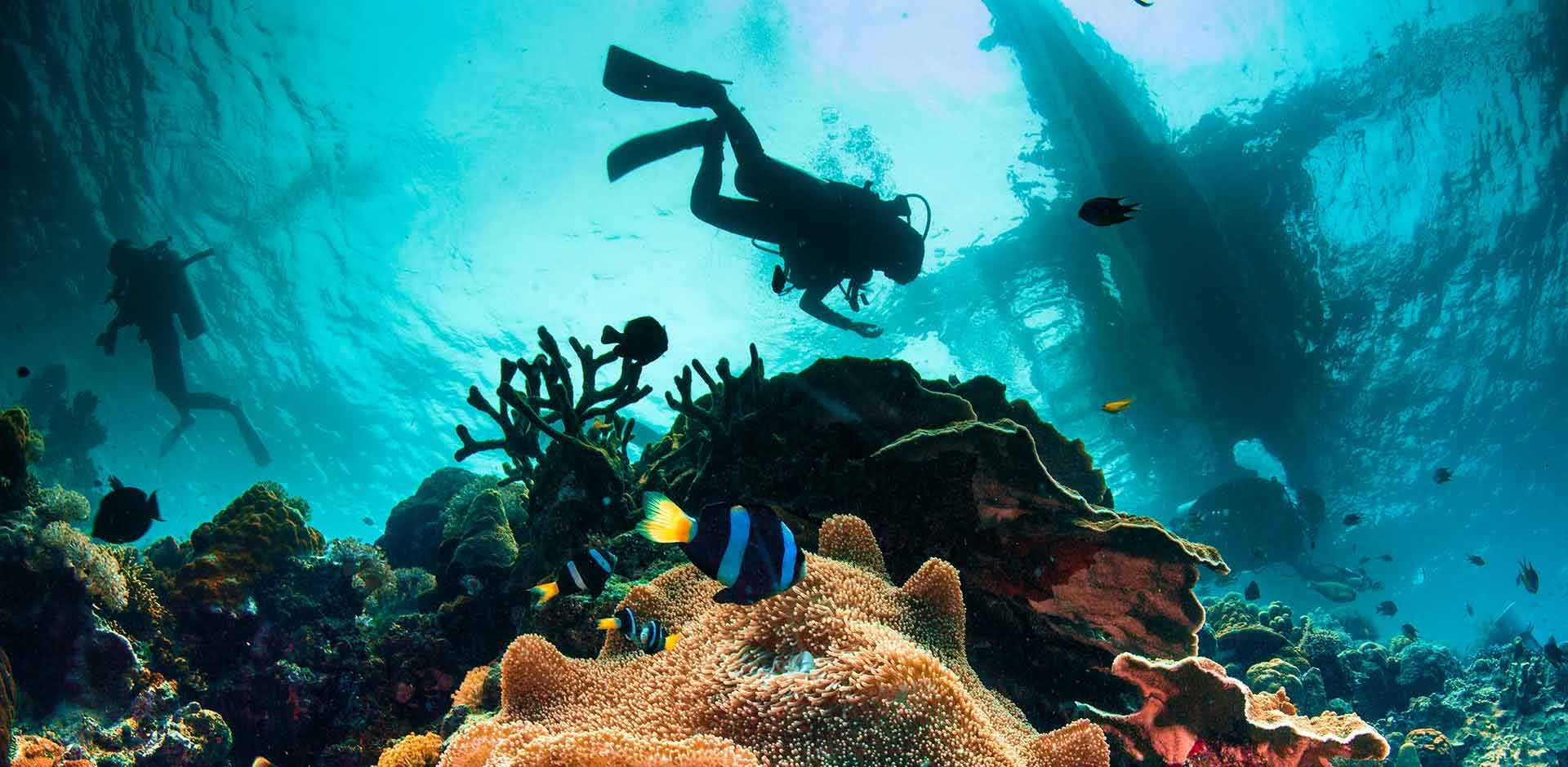 Cebu