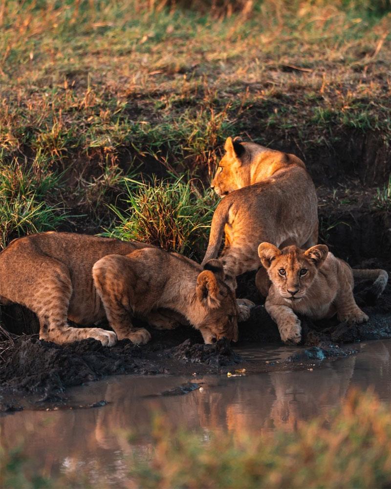 Tanzania-experience.jpg