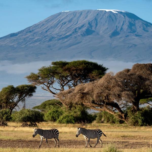 Around the World in Three Continents In 2026

Dubai has been replaced with a Tanzania safari, introducing a new stage set in the vast, rolling plains of the Serengeti. Touchdown in Kilimanjaro, Tanzania, by private jet before continuing into &Beyond Grumeti Serengeti River Lodge which is set along the banks of the Grumeti River. Each day is planned with morning and afternoon game drives, with the final day set aside for a stunning hot air balloon safari over the open plains.

Around the World in Three Continents launches this year from October 11 to November 1 as an exclusive Aman Jet Expedition of sheer contrast. The journey navigates through Japan, Philippines, Indonesia, Maldives, Tanzania, Italy, and Morocco, with curated stays at five Aman properties included. Venture into the worlds of imperial Kyoto, with its beautifully preserved temples and centuries old traditions, the savannas of the Serengeti, chalk full of fresh wildlife, ​​and the souks and medinas of Marrakech. A multi-continent perspective awaits.

For more information, please check via the link in bio.