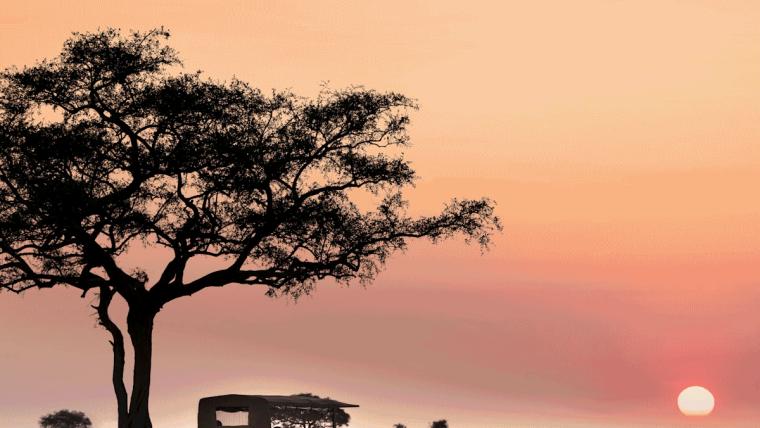Safari in the Serengeti Added to Around the World in Three Continents 2026