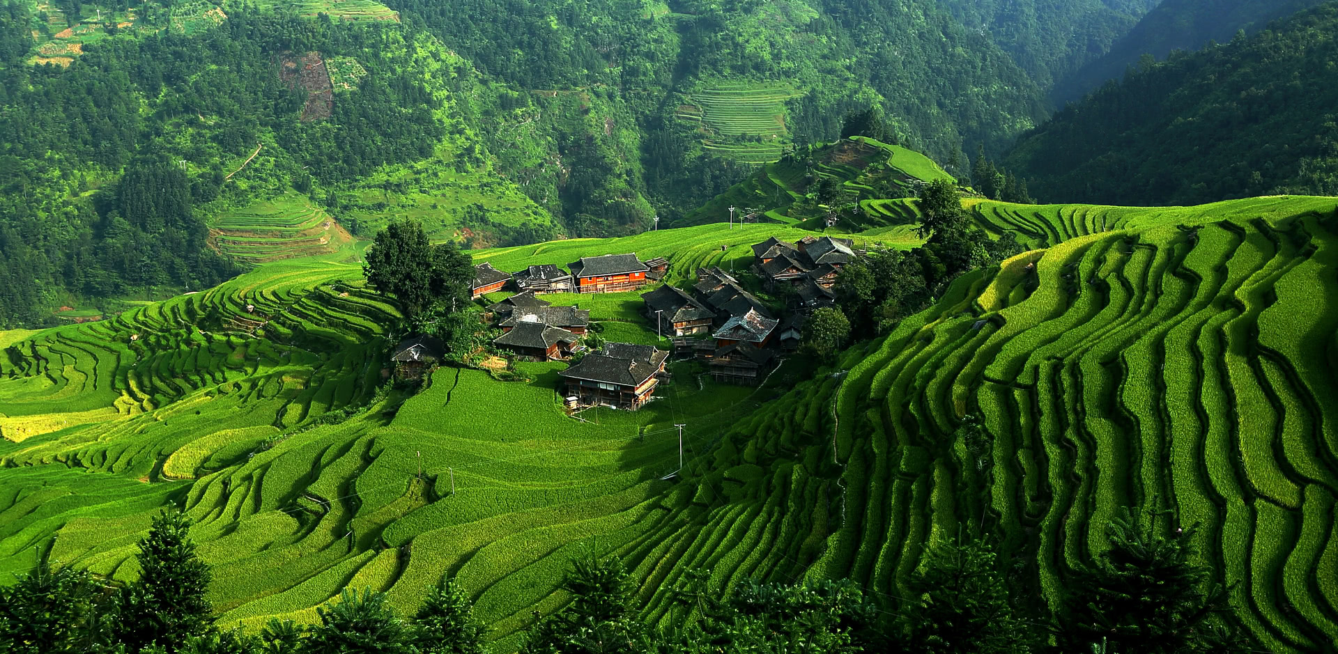 Amazing Landscapes