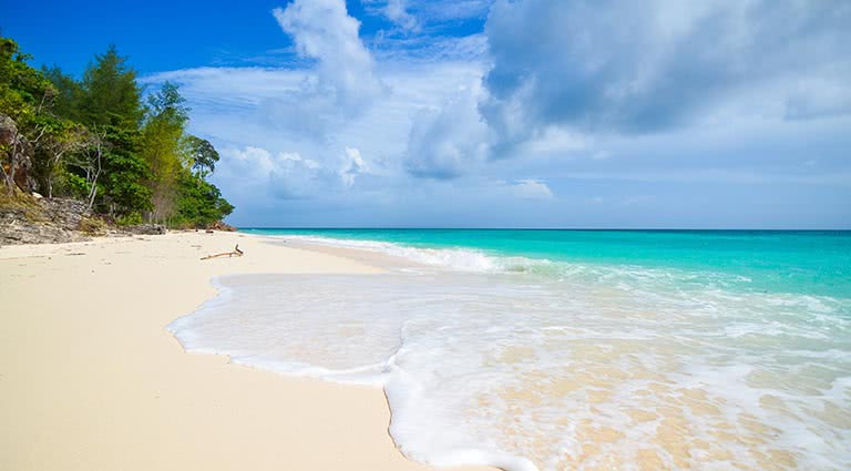 Beaches