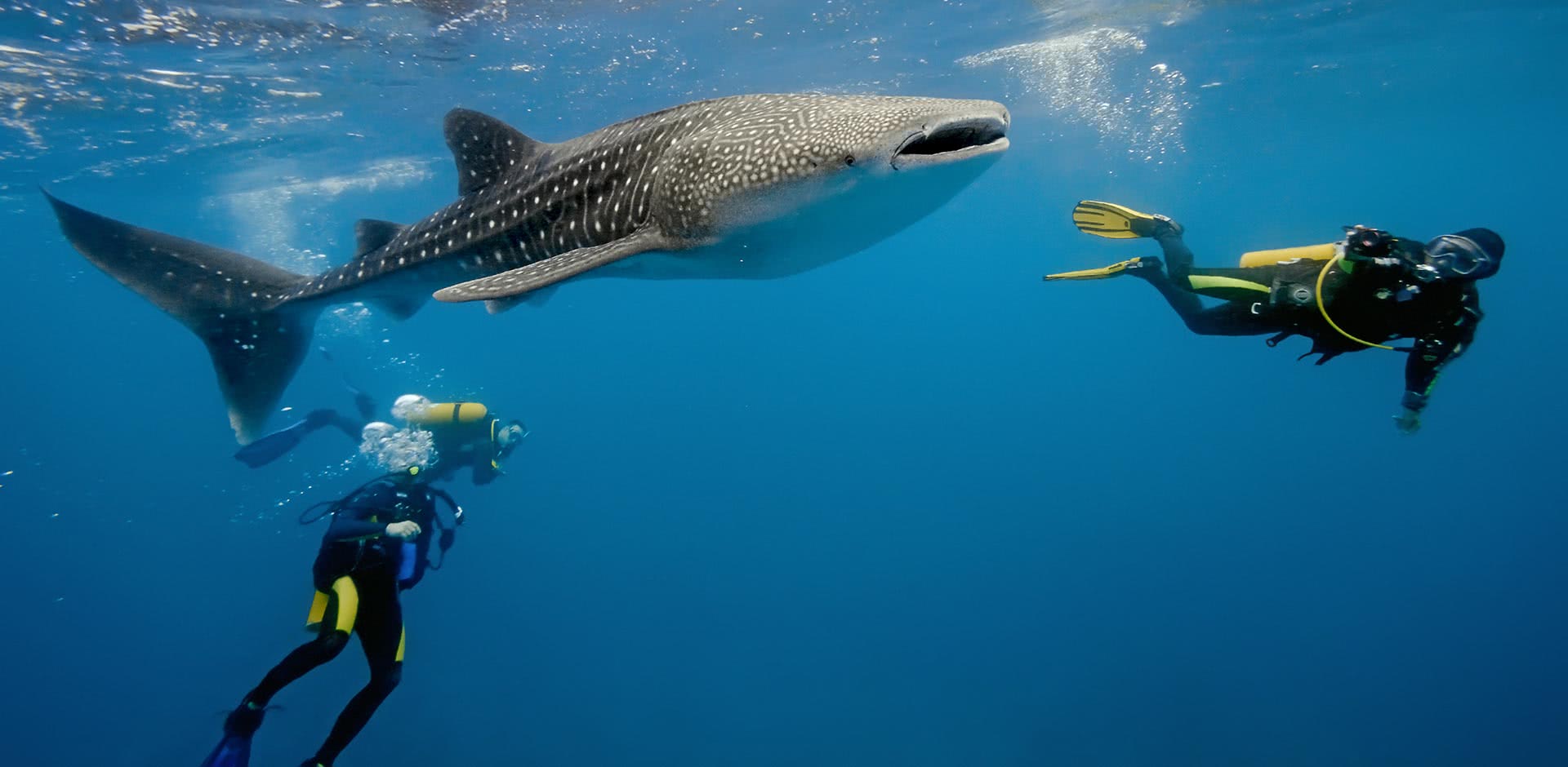 Diving