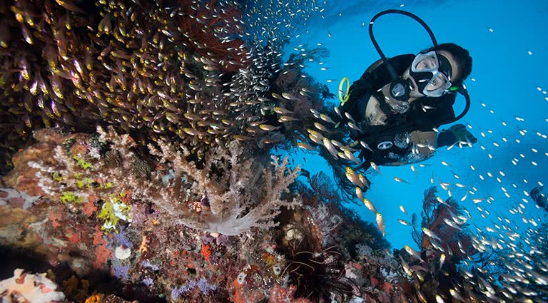 Diving