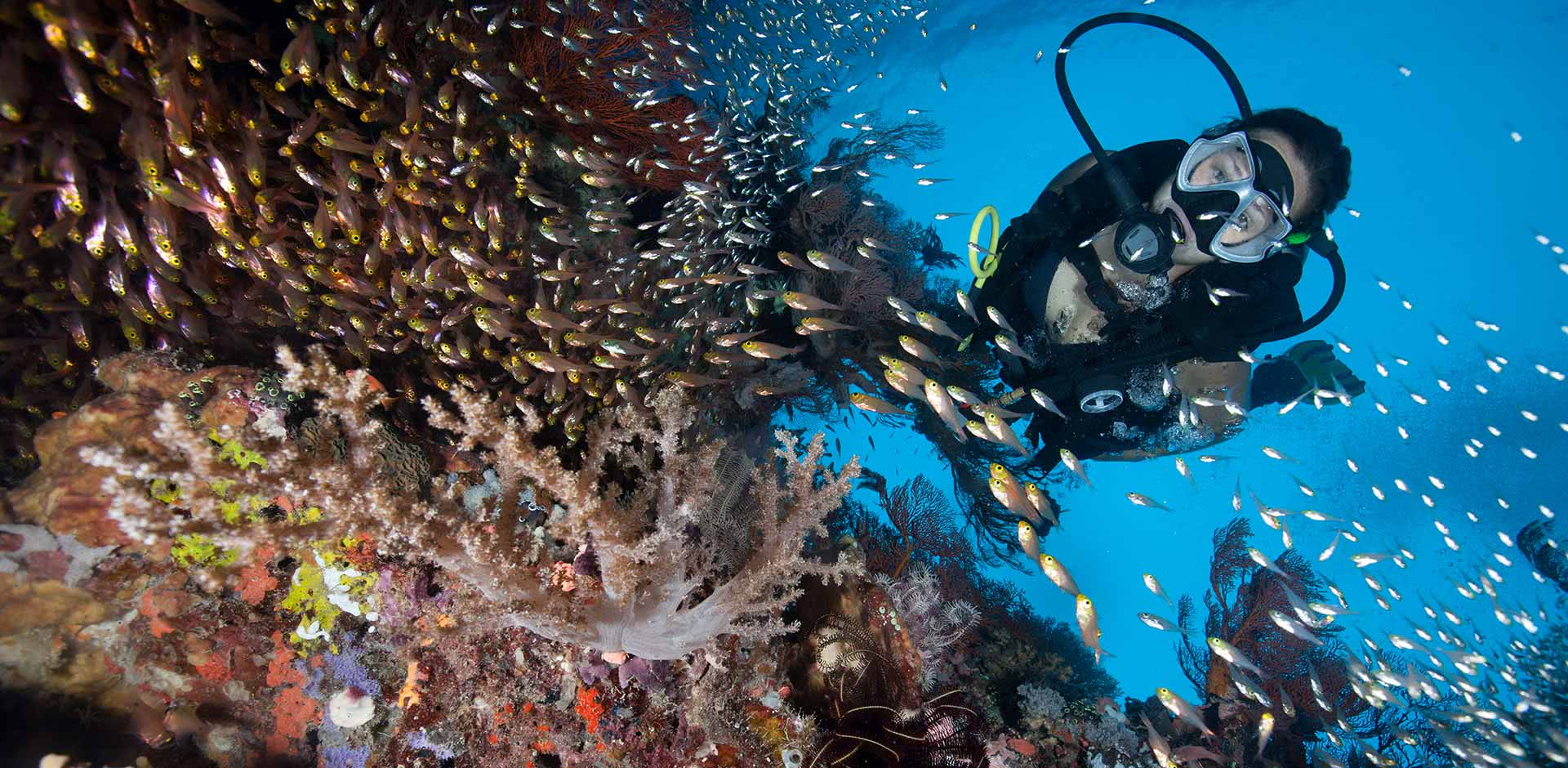 Diving