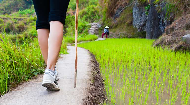 Trekking