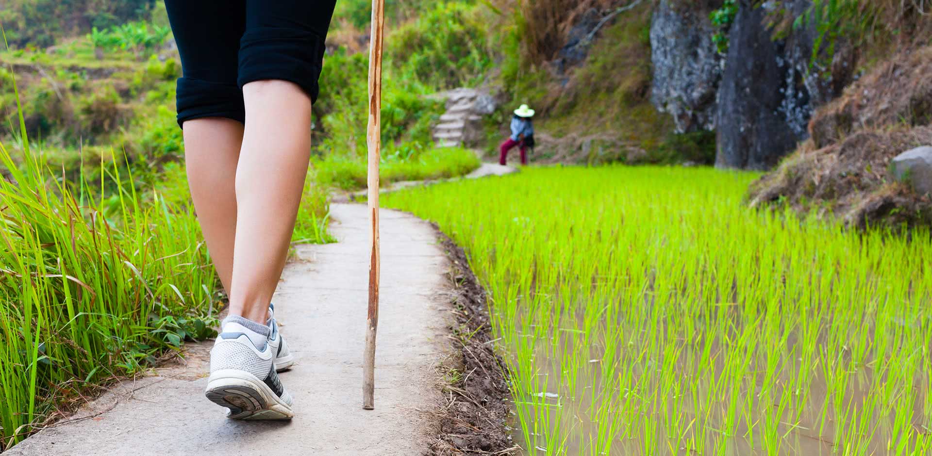 Trekking