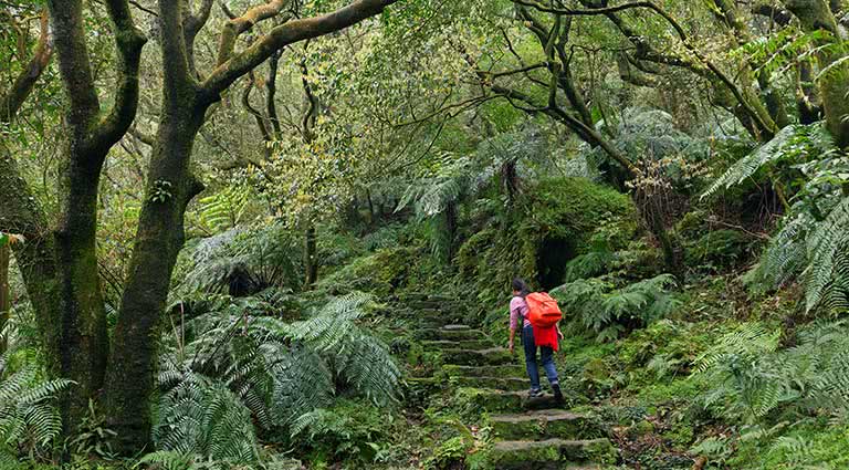 Trekking