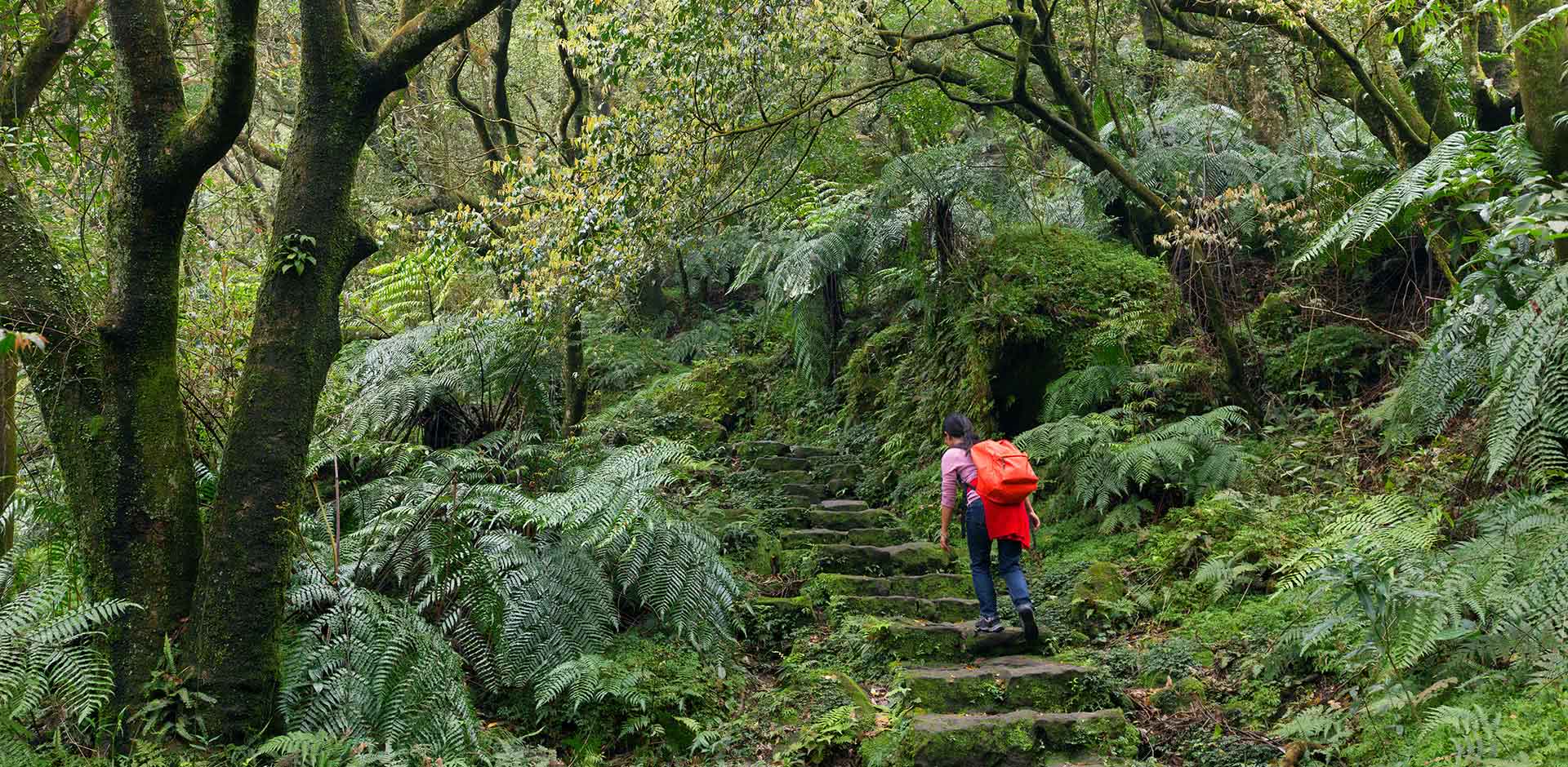 Trekking