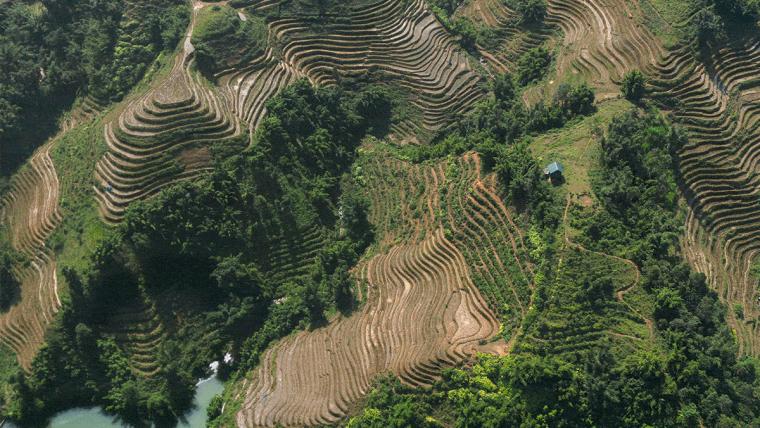 Asia's Hill Stations: Tea trails, Mountain Roads and Cool-Climate Escapes