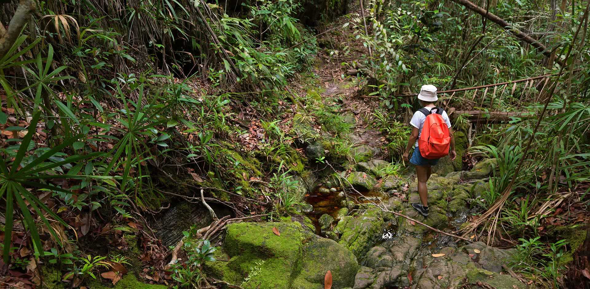 Bako National Park