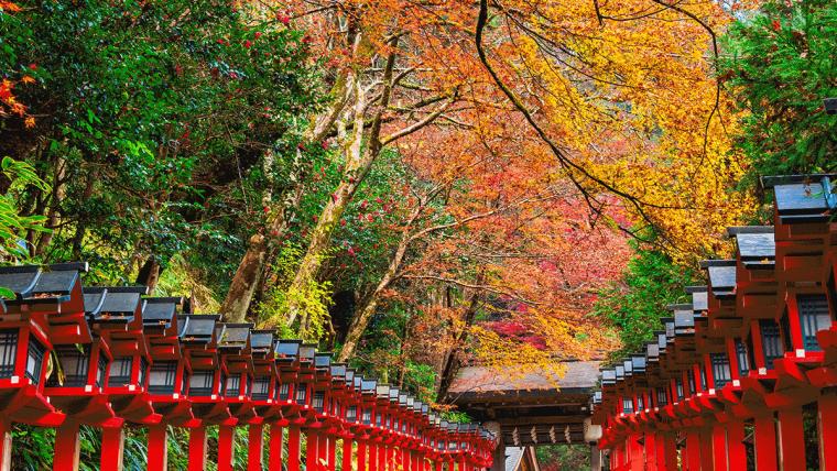 Now Is the Time to Plan for Japan in Fall