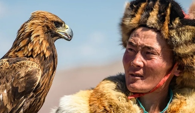 Golden Eagle Experience & Demonstration