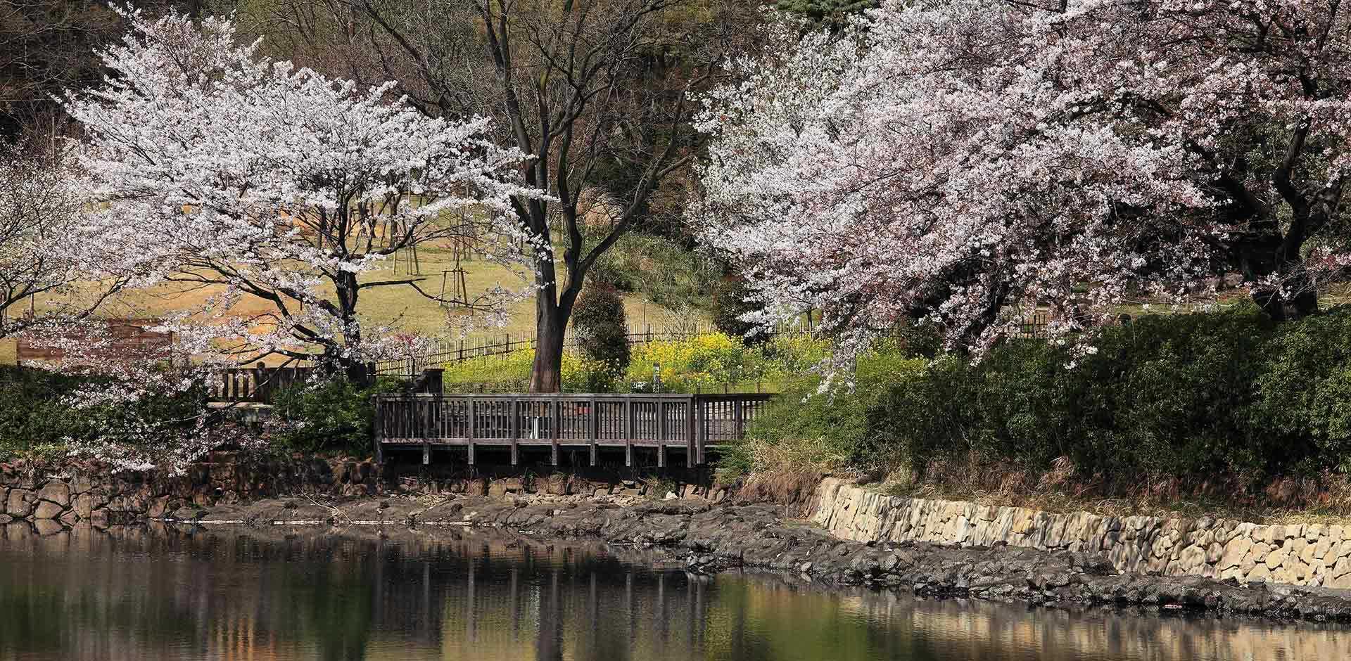 Yokohama