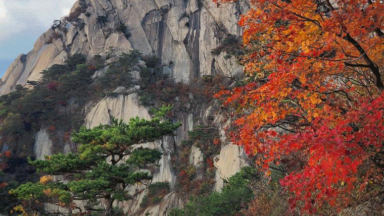 South Korea Between Seasons