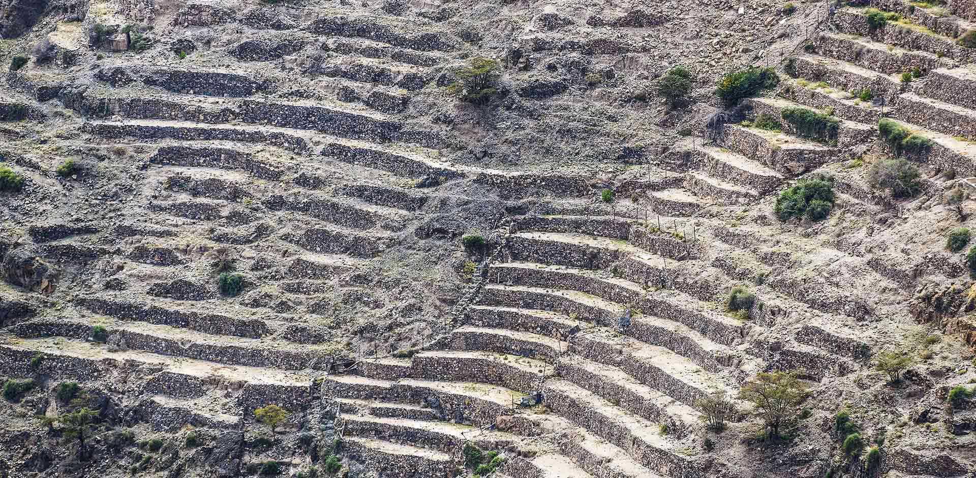 Jabal Akhdar