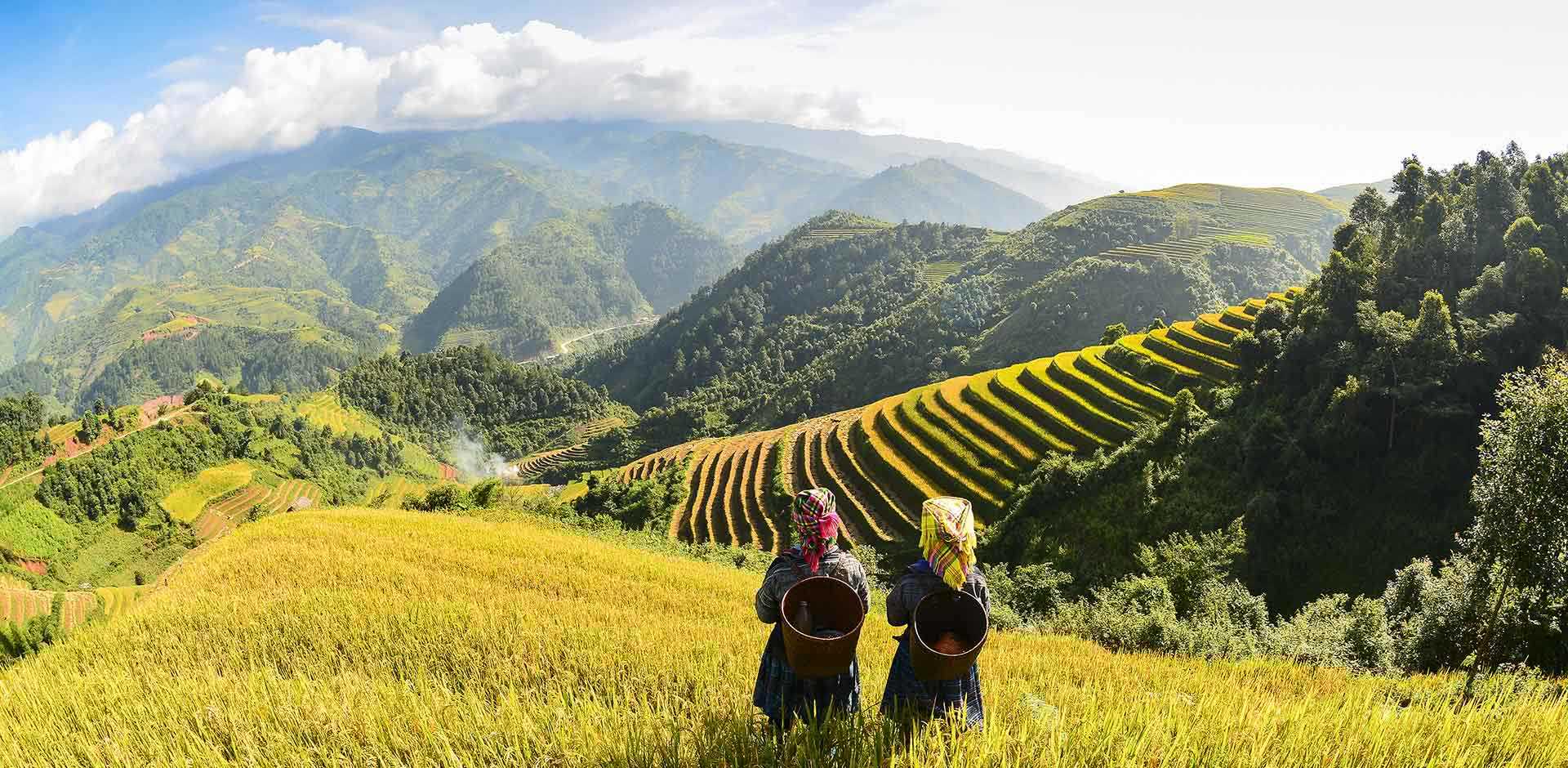 Sapa
