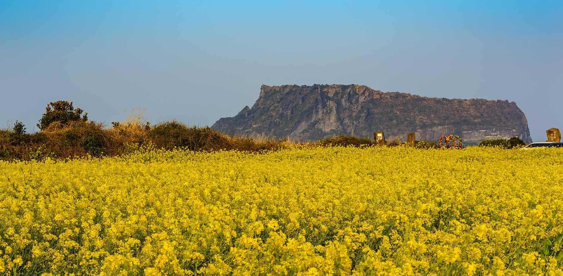 Jeju