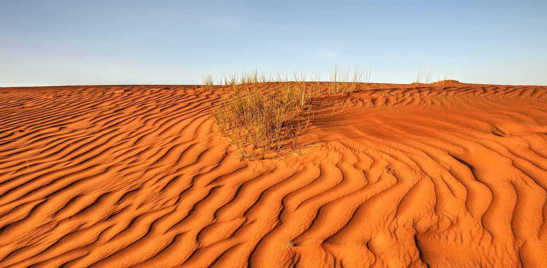 Wahiba Sands